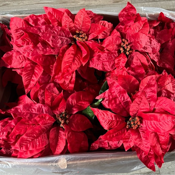 16 NEW Poinsettia Bundles - Picture 8 of 8